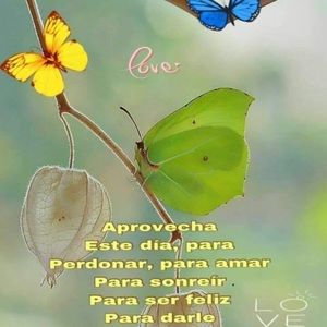 Meet your Posher, Perla